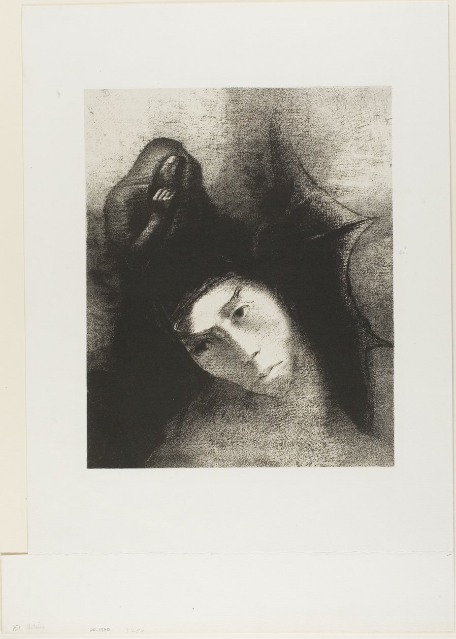 Anthony: "¿Cuál es el objetivo de todo esto?" El Diablo: "¡No hay objetivo!", placa 18 de 24 de Odilon Redon