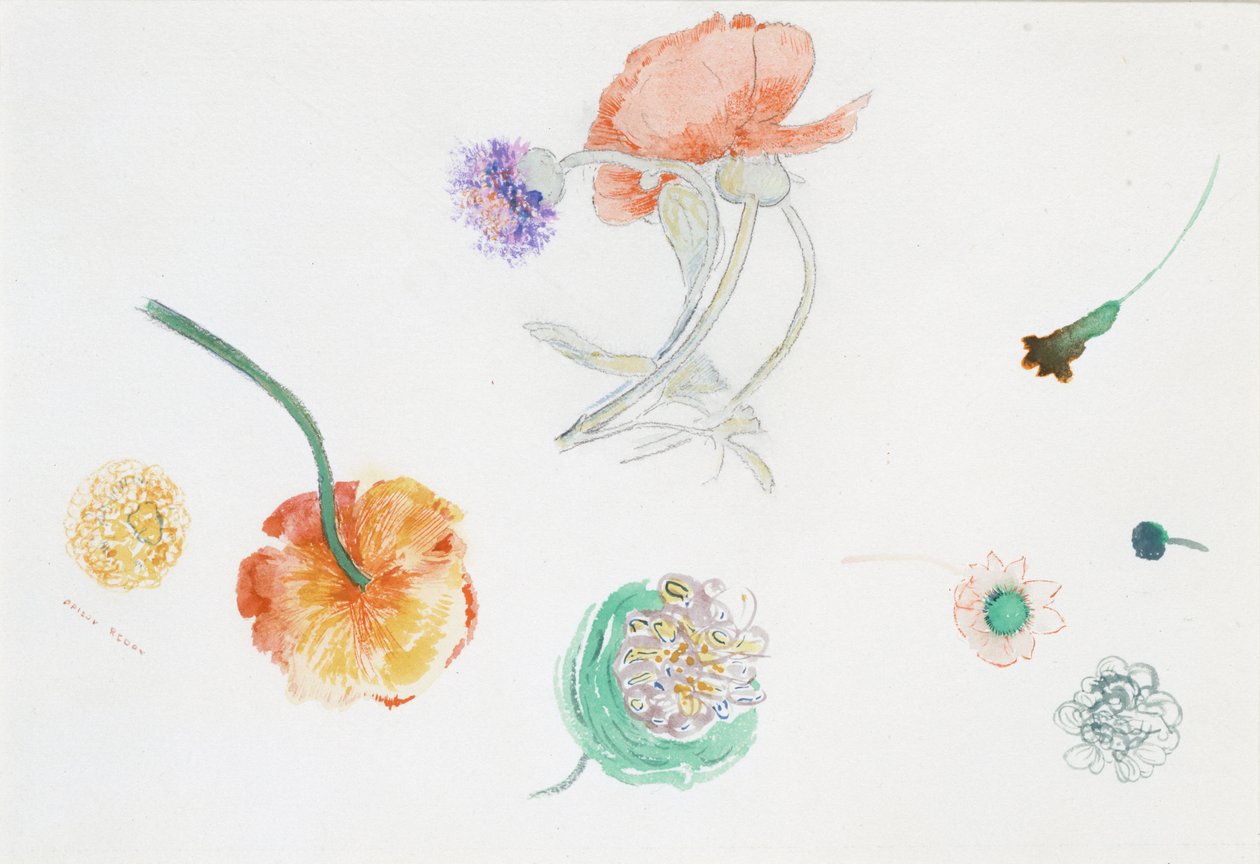 Boceto de flores de Odilon Redon