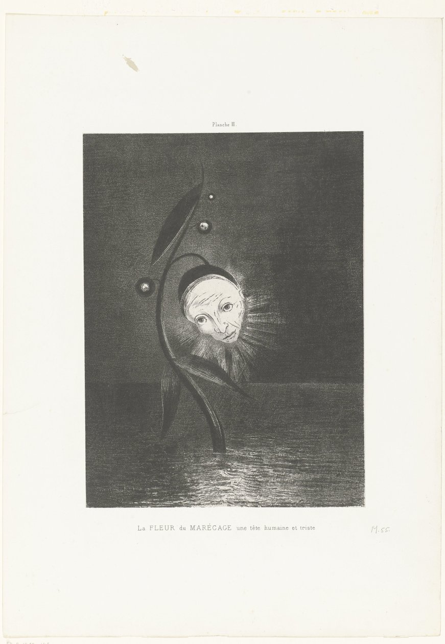 La flor del pantano, una cabeza humana y triste
La FLEUR du MARÉCAGE une tête humaine et triste (título en el objeto) de Odilon Redon