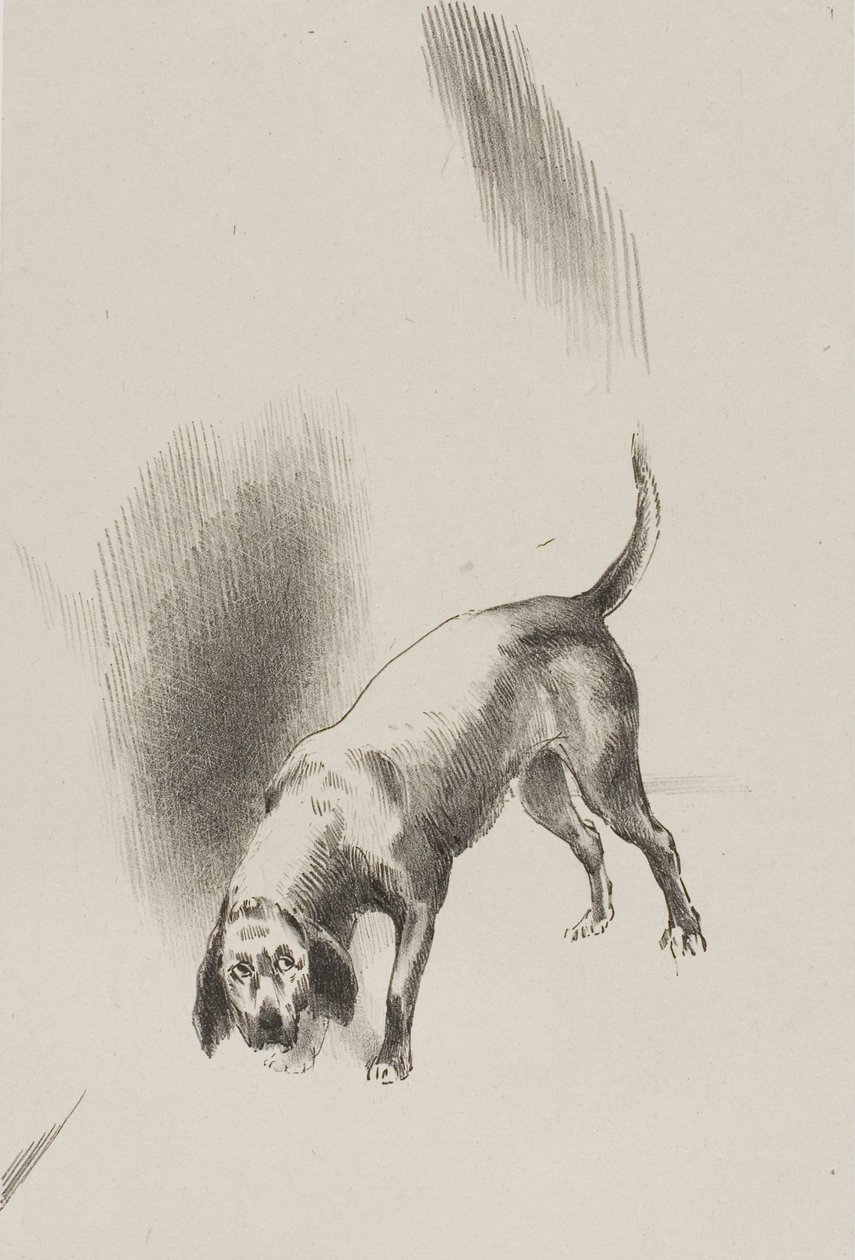 Él [el perro del narrador] mantenía sus ojos fijos en mí con una mirada tan extraña, lámina 3 de 6 de Odilon Redon