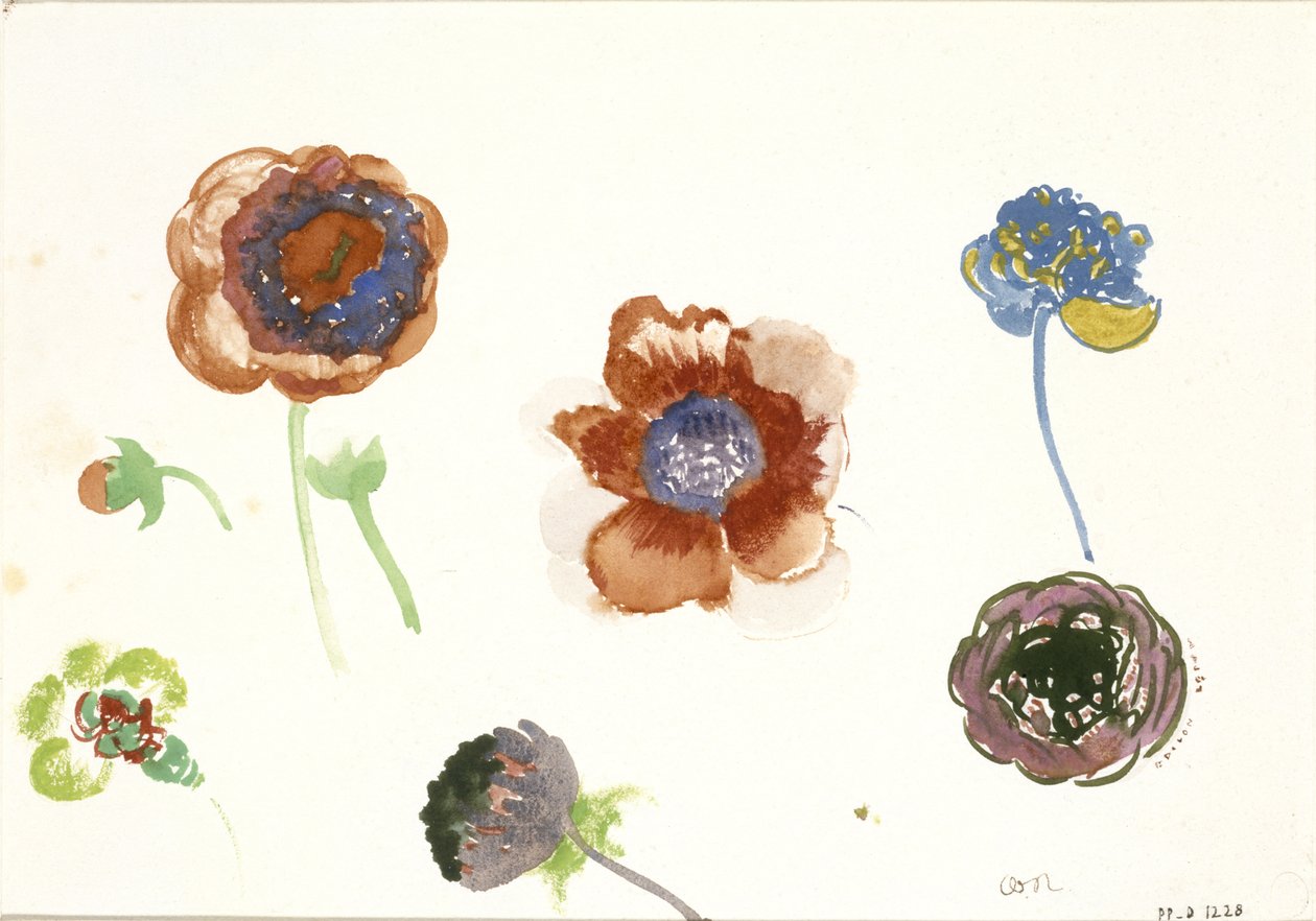 Ocho estudios de flores de Odilon Redon