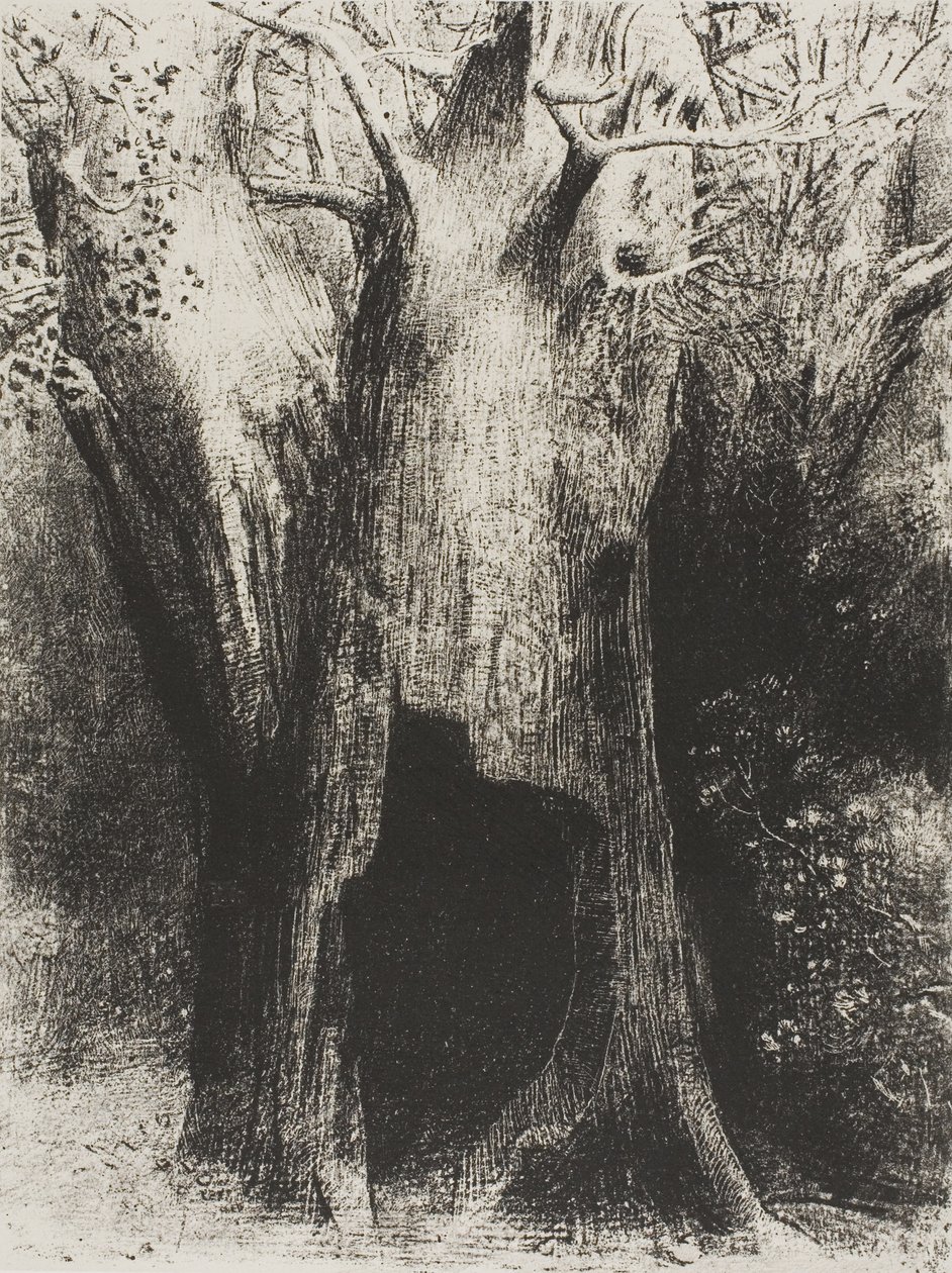 Me sumergí en la soledad. Viví en el árbol detrás de mí, lámina 9 de 24 de Odilon Redon