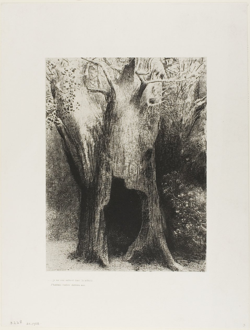 Me sumergí en la soledad. Viví en el árbol detrás de mí, lámina 9 de 24 de Odilon Redon