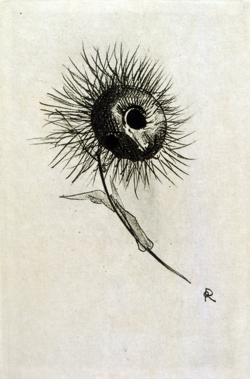 Ilustración para 