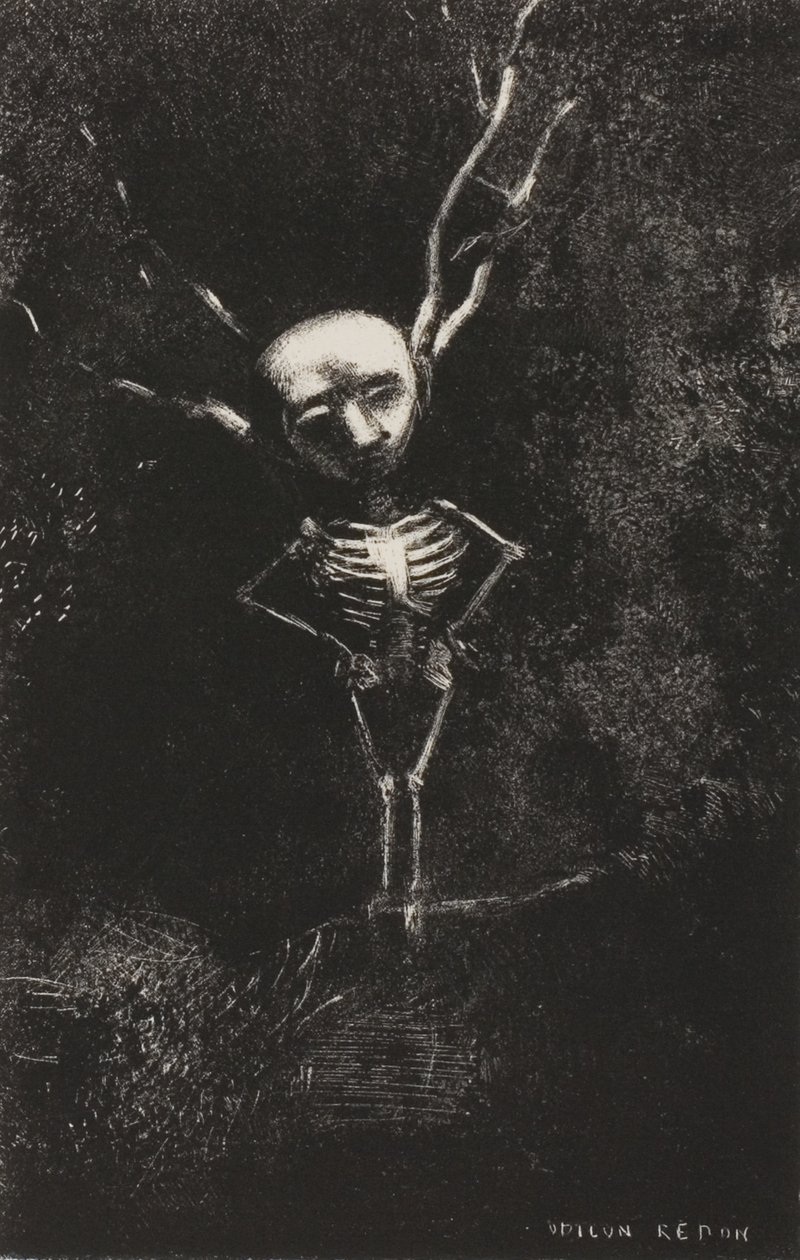 En el laberinto de ramas, apareció la figura pálida, lámina 2 de 7 de Odilon Redon