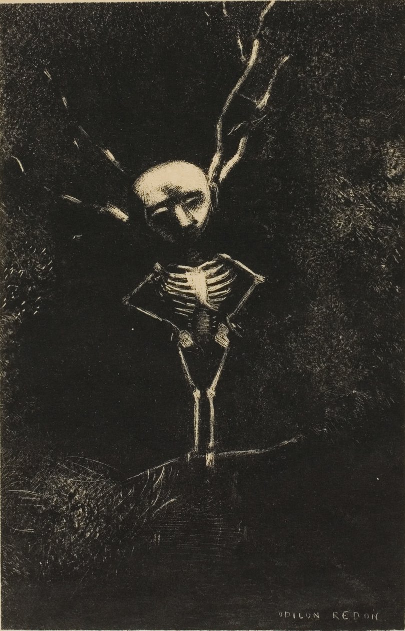 En el Laberinto de Ramas, Apareció la Figura Pálida, lámina 2 de 7 de Odilon Redon