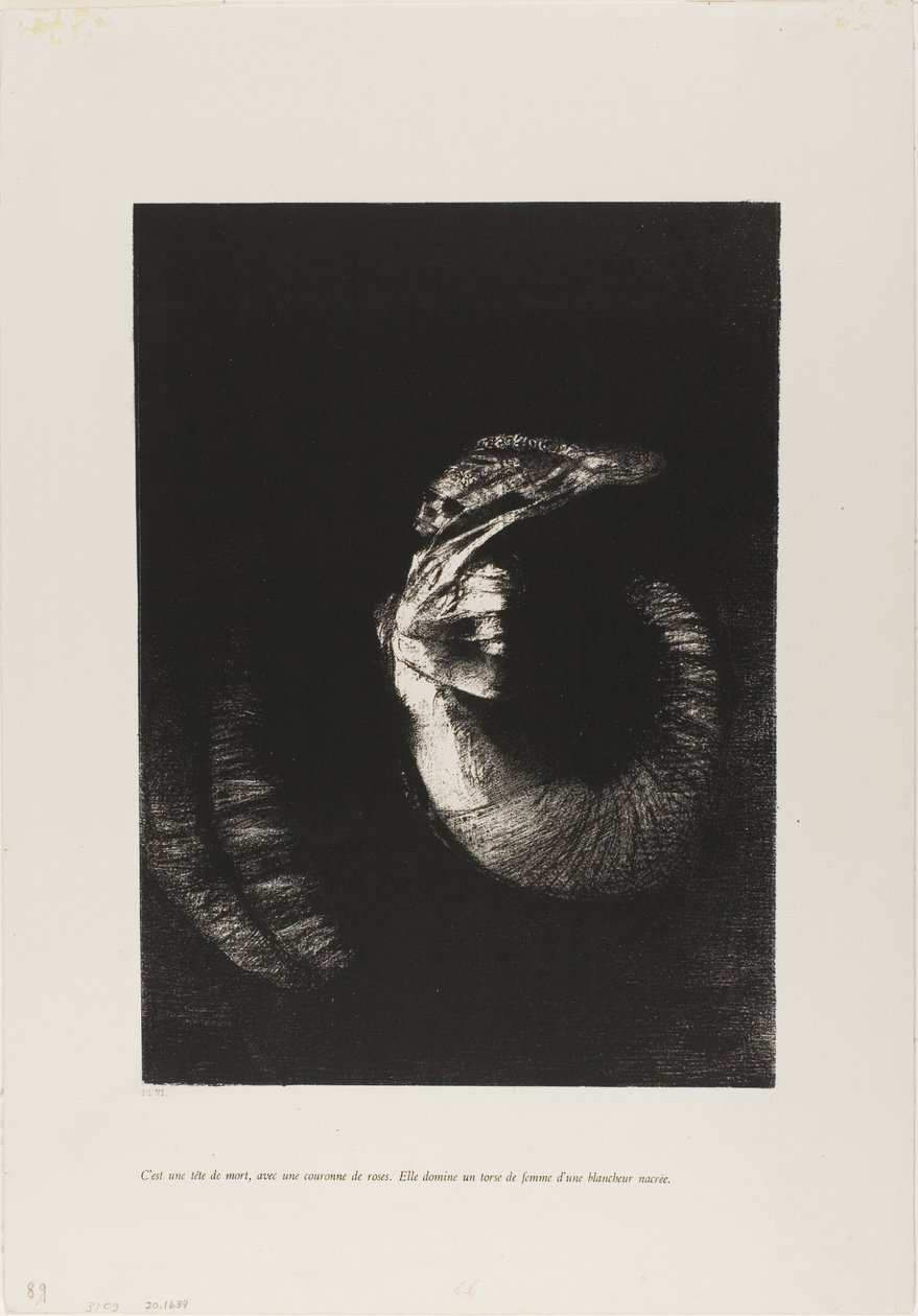Es una calavera coronada de rosas... de Odilon Redon