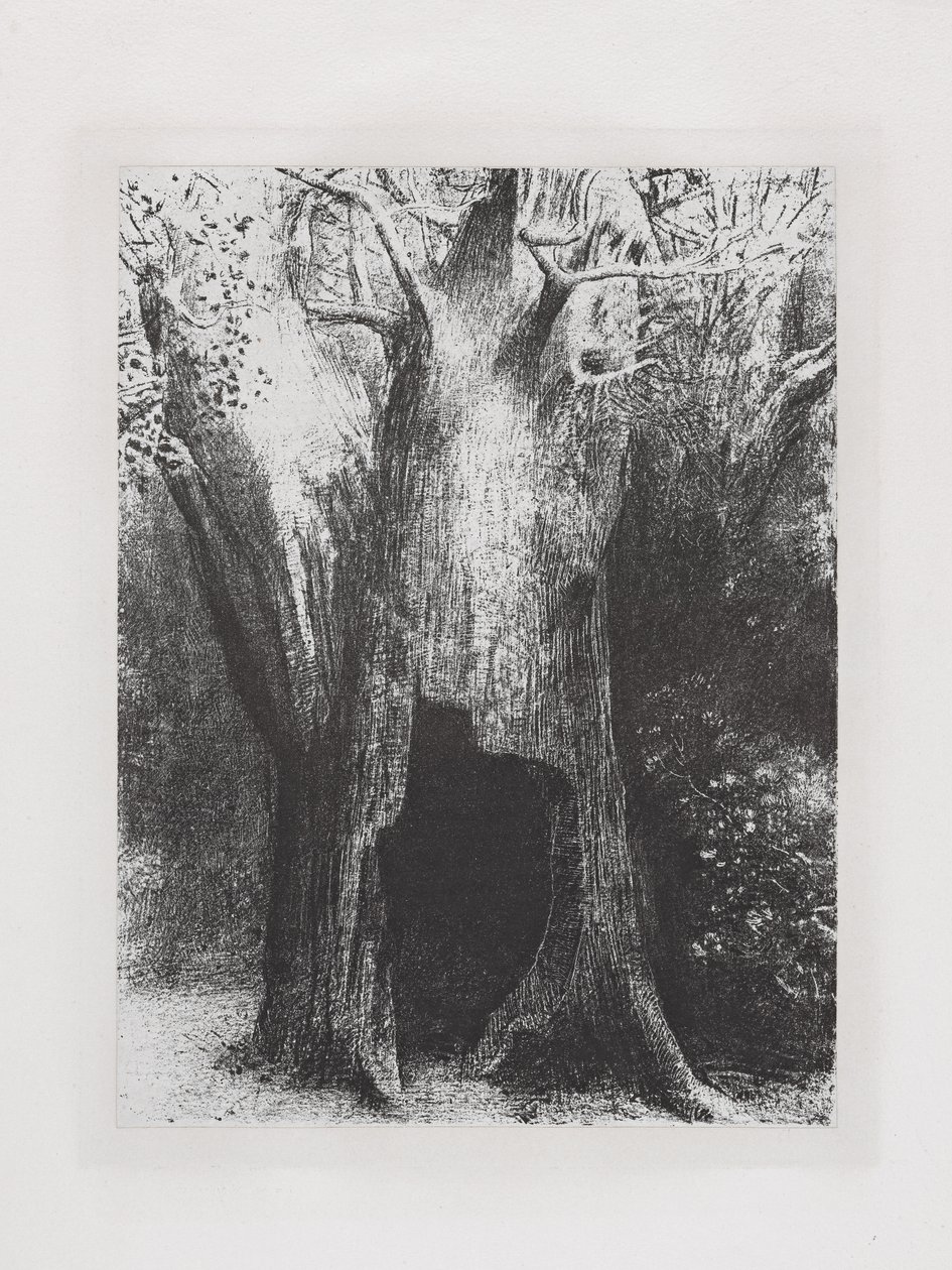 Me hundí en la soledad de Odilon Redon