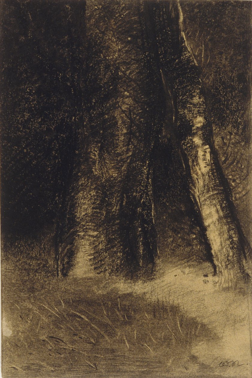 Esbozo de árboles de Odilon Redon