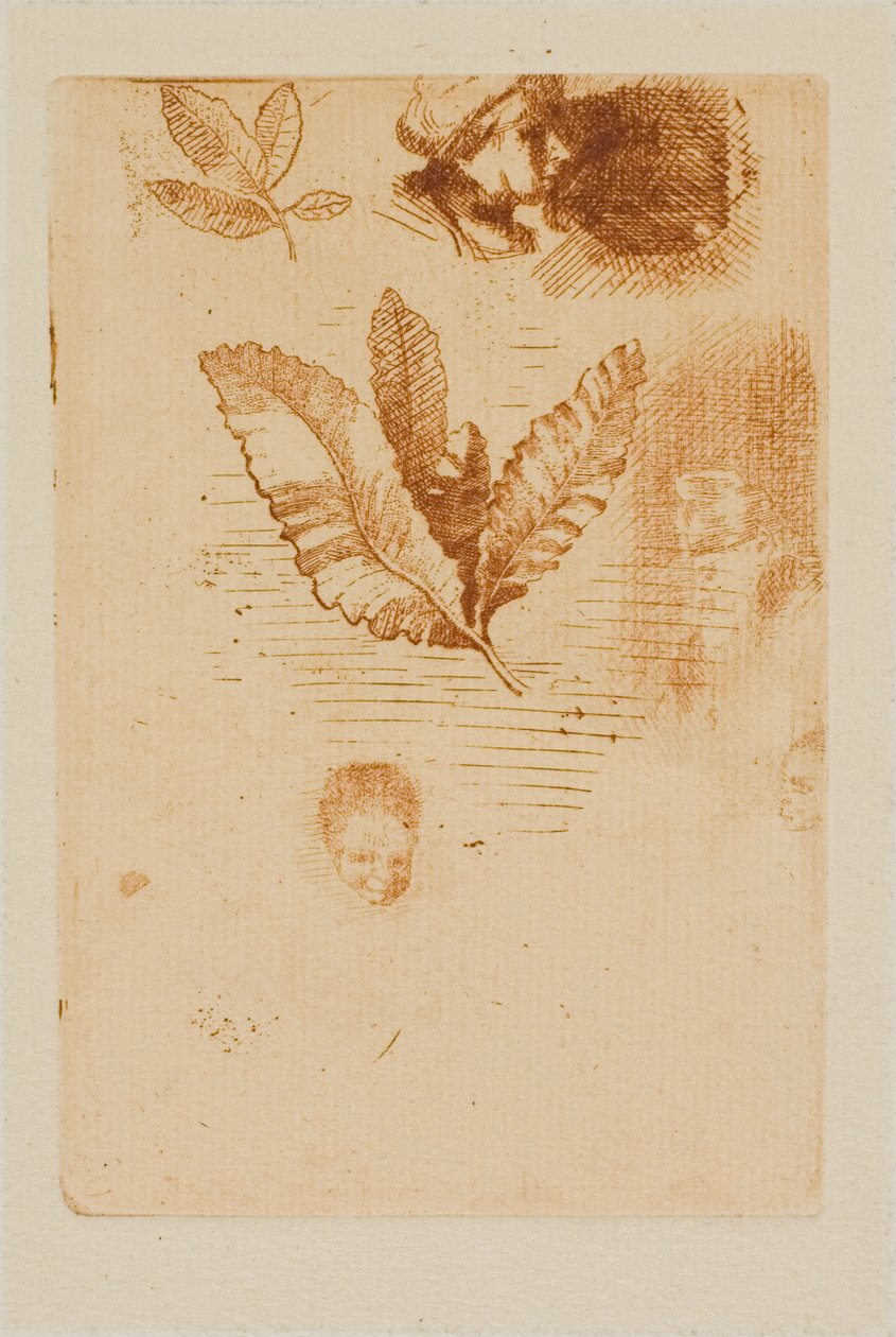 Bocetos de Odilon Redon