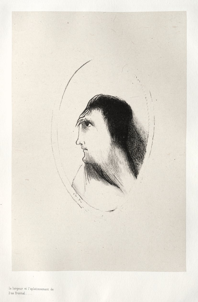 The Breadth and Flatness of the Frontal Bone de Odilon Redon