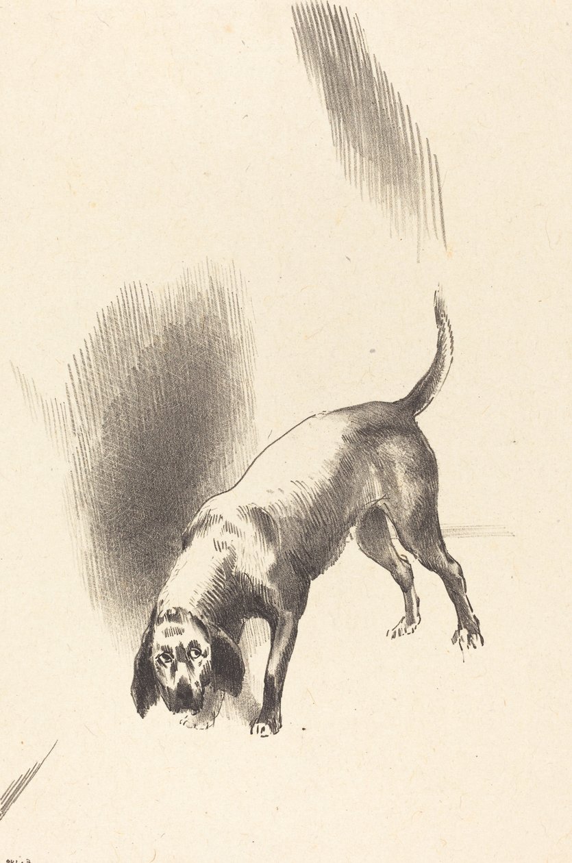 El perro de Odilon Redon