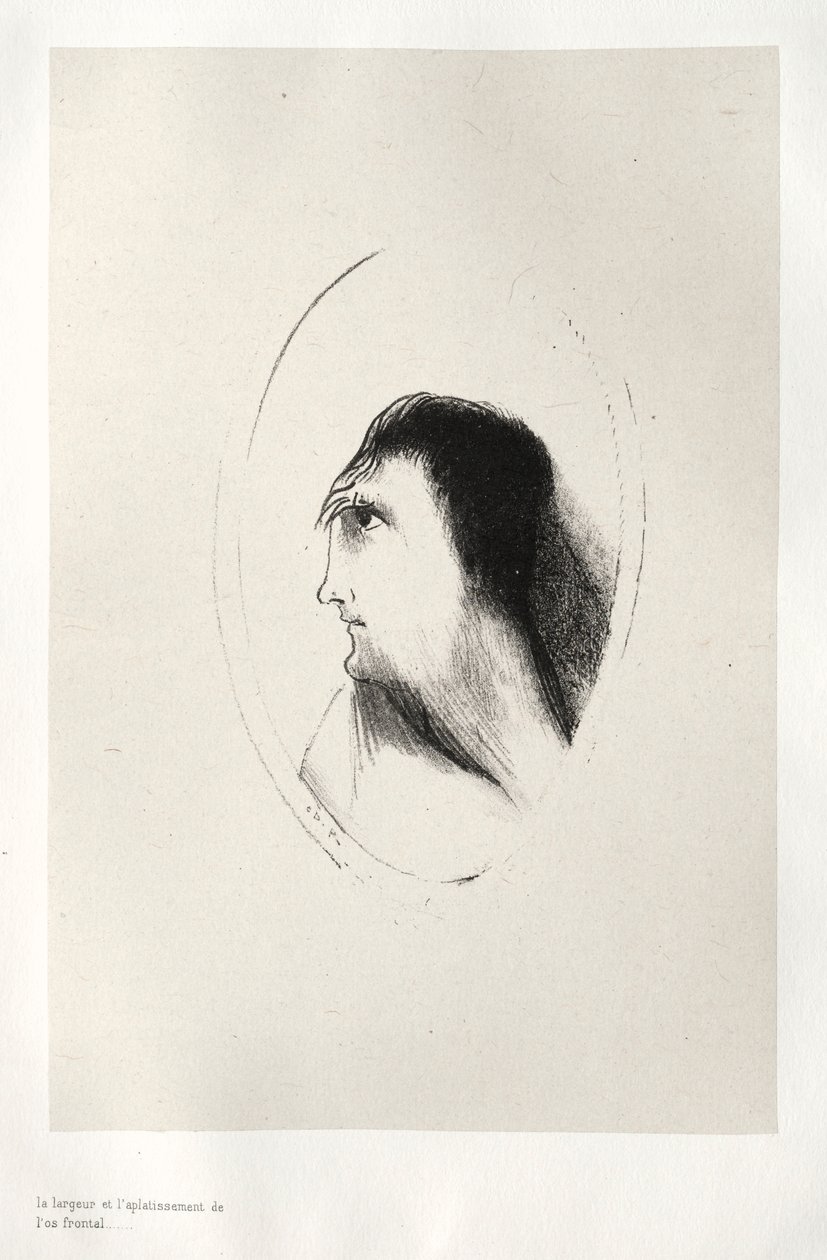 La Casa Embrujada: La Anchura y Planitud del Hueso Frontal, 1896 de Odilon Redon