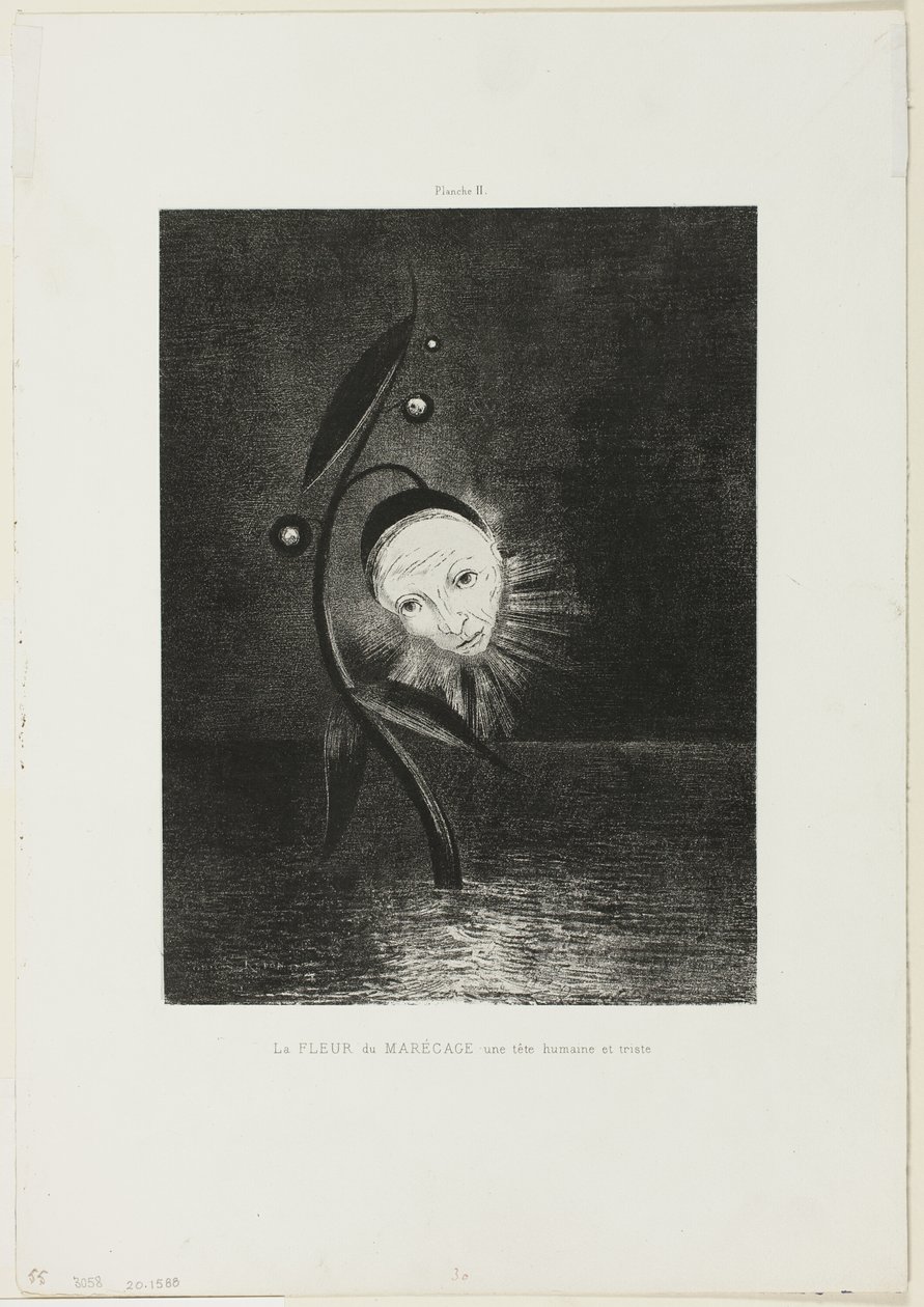 La flor del pantano, una cabeza humana triste, lámina 2 de 6 de Odilon Redon