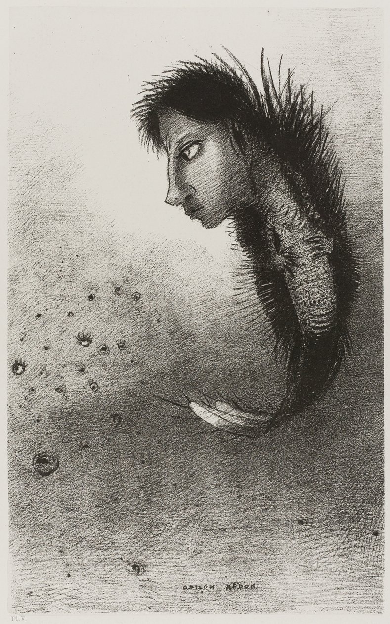 Entonces aparece un ser singular, con cabeza de hombre en el cuerpo de un pez, placa 5 de 10 de Odilon Redon