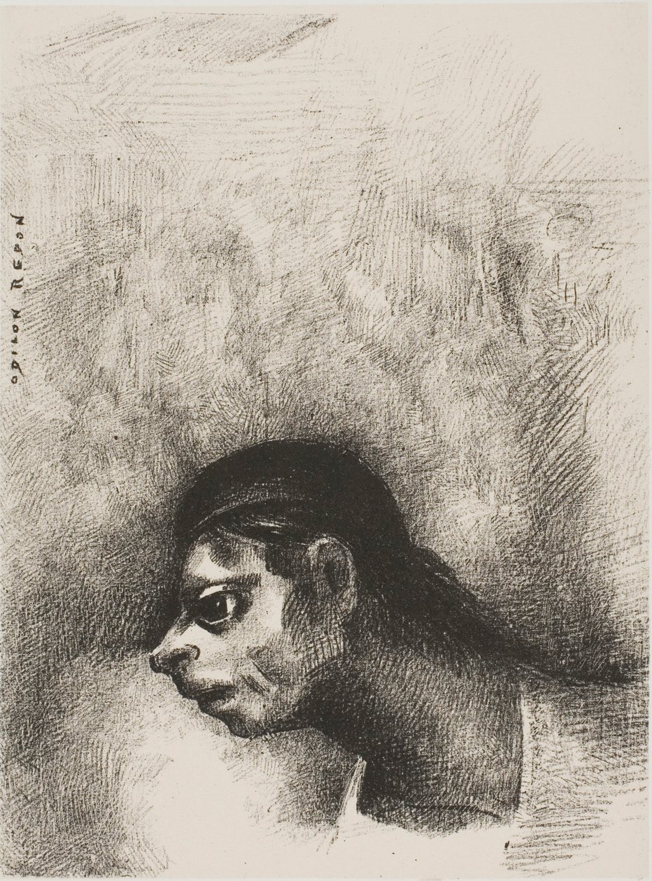 A través de la grieta de la pared se proyectó la cabeza de un muerto, de El jurado de Odilon Redon