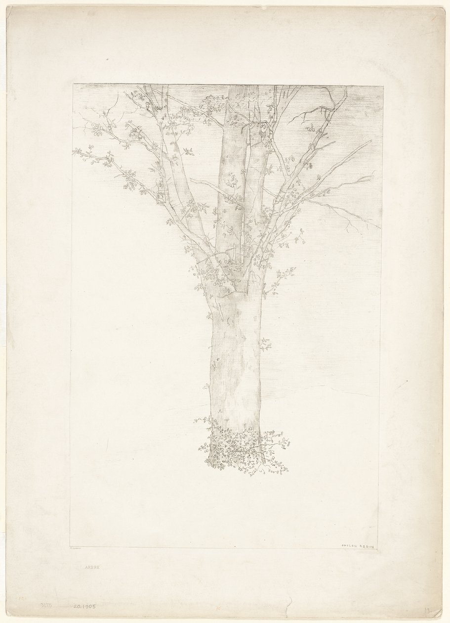 Árbol de Odilon Redon