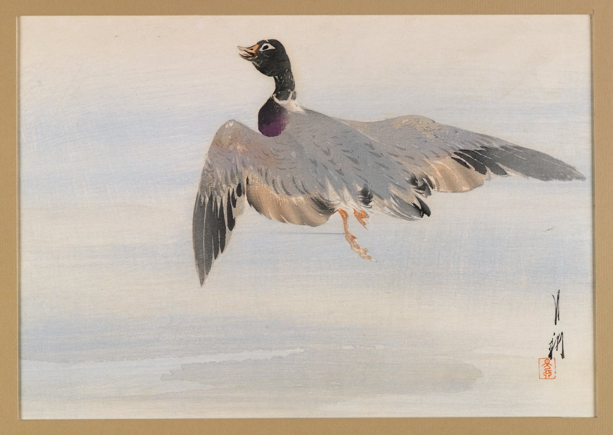 Pato Saliendo del Agua, página de un Álbum de Aves y Flores de Ogata Gekko