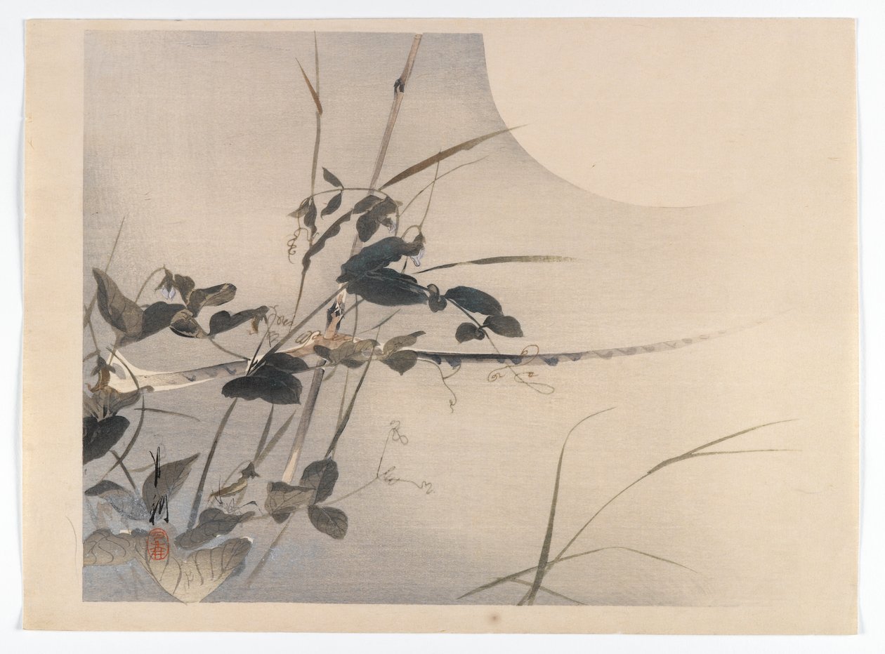 Luna y Follaje, página de un Álbum de Aves y Flores de Ogata Gekko