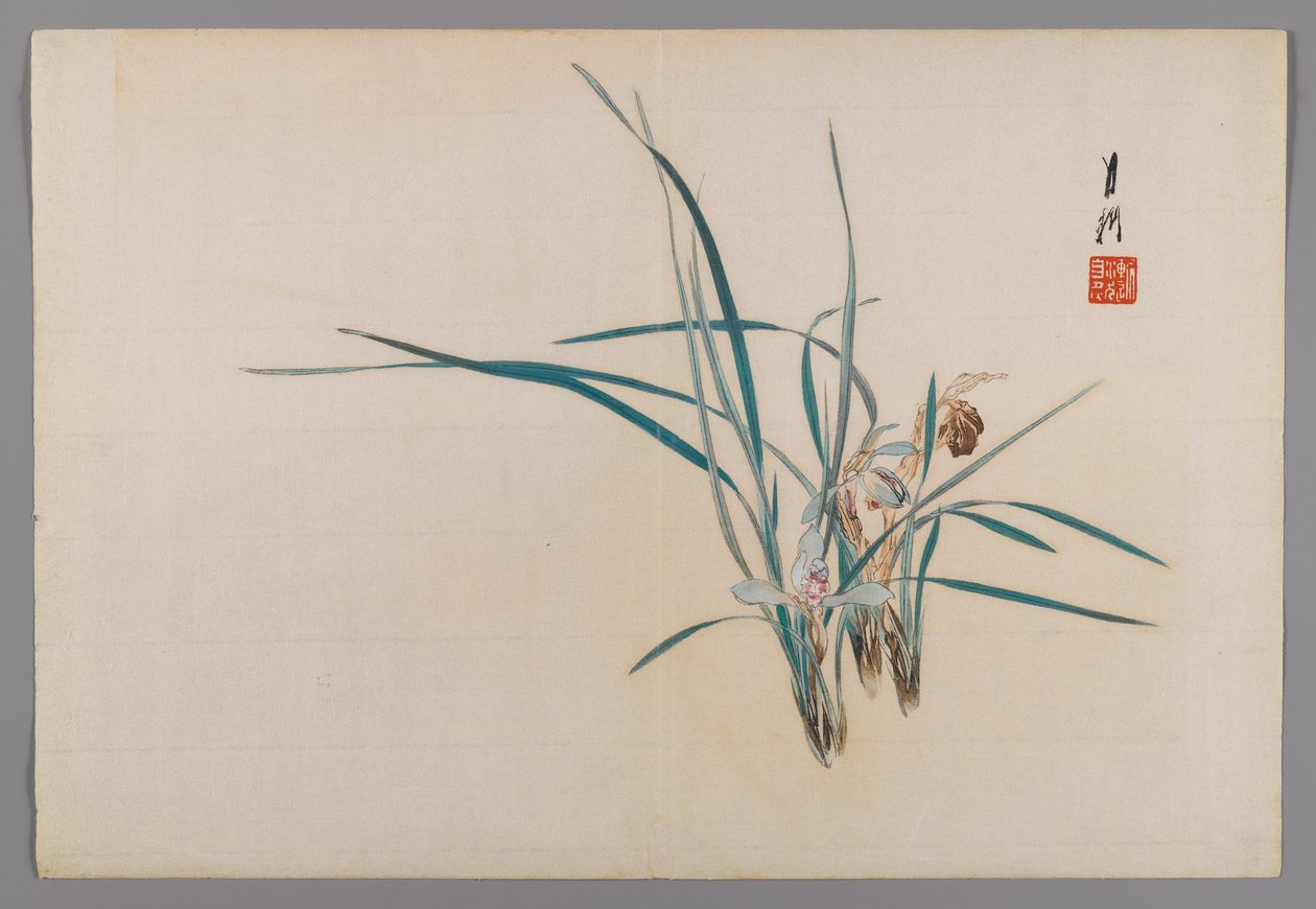 Orquídeas, página de un Álbum de Aves y Flores de Ogata Gekko