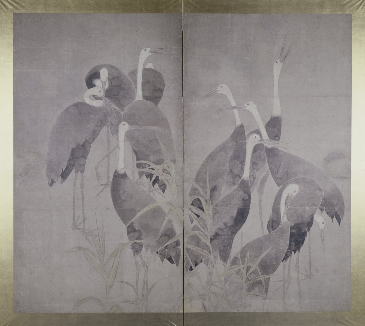 Once grullas hembras de pie en un lecho de juncos secos, c.1700-50 de Ogata Korin