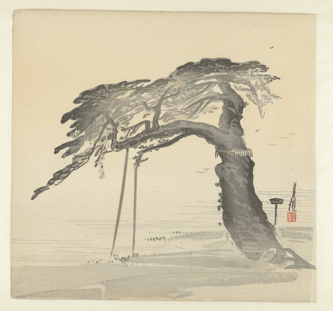 Viejo pino de Ogata Gekko