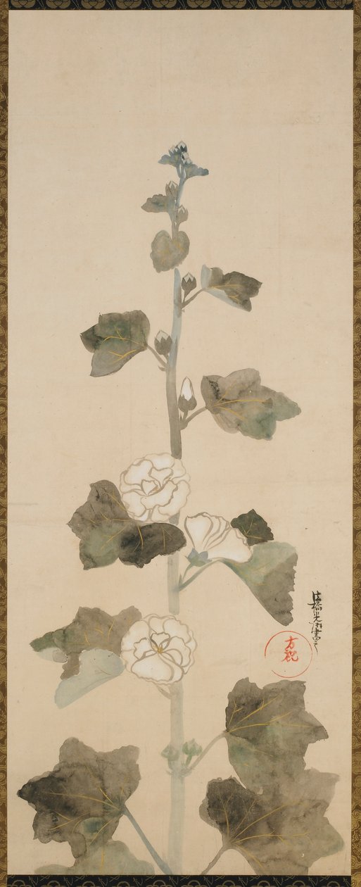 Malvarrosas blancas, período Edo, finales del siglo XVII-principios del siglo XVIII de Ogata Korin