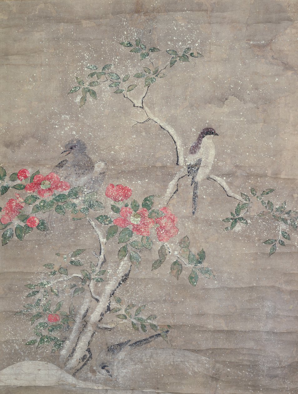 Pájaros y camelia en la nieve, c.1700 de Ogawa Haritsu