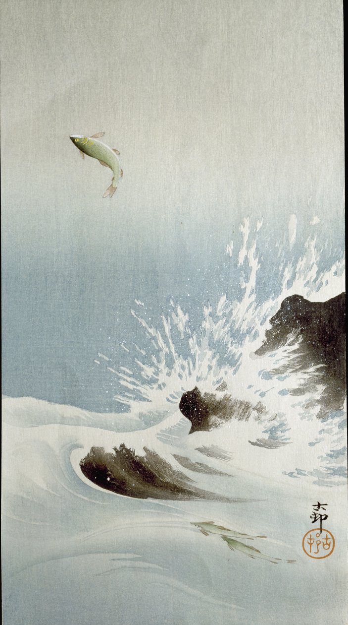 Un pez saltando fuera del agua, 1907 de Ohara Koson