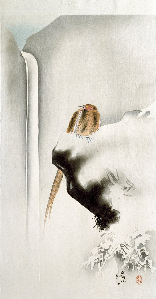 Un faisán en el borde de un acantilado, con una cascada en el fondo, 1907 de Ohara Koson