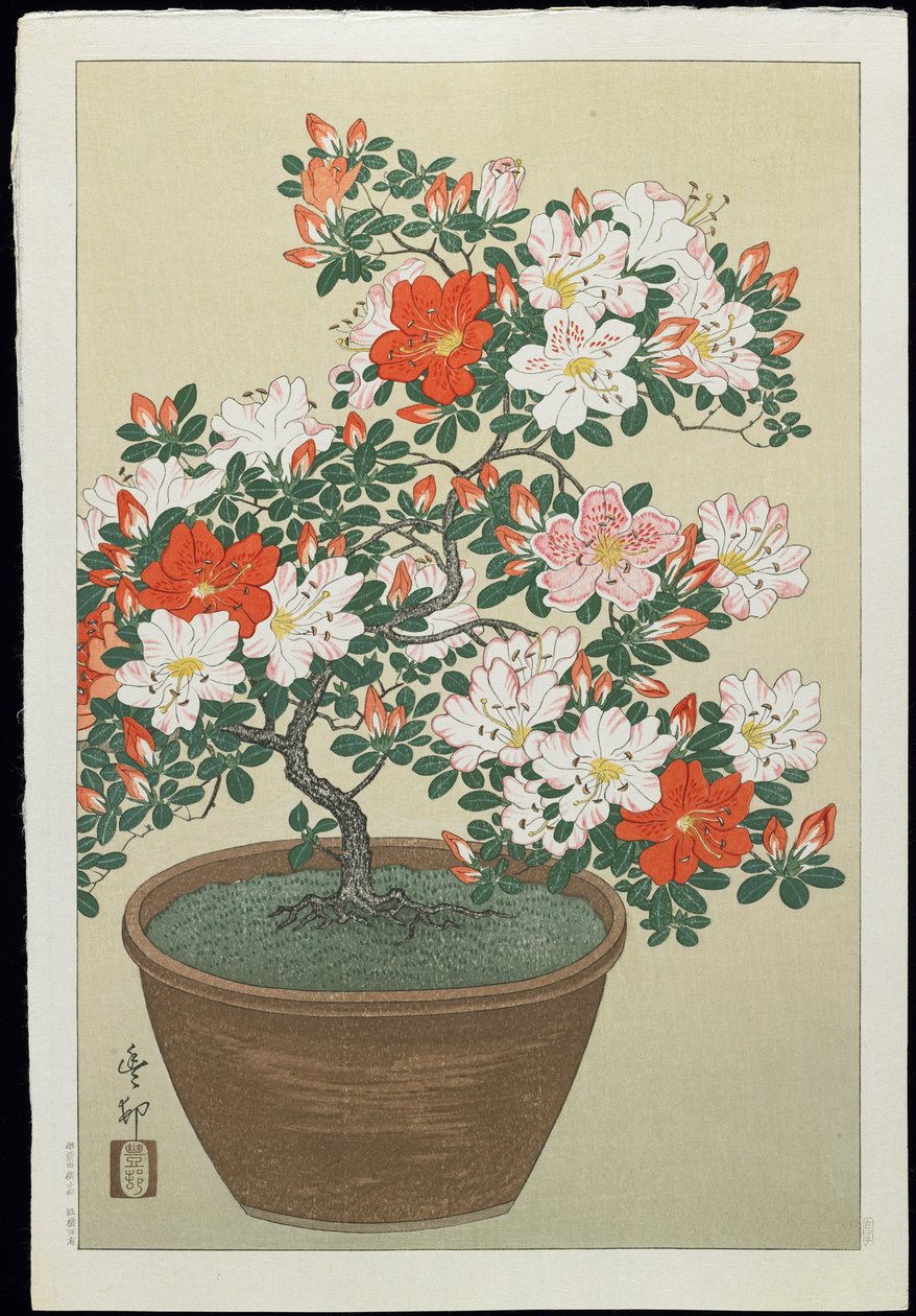 Azalea en maceta, años 1930 de Ohara Koson