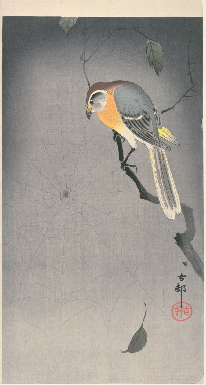 Pájaro en una rama observando una araña, c. principios de 1900 de Ohara Koson