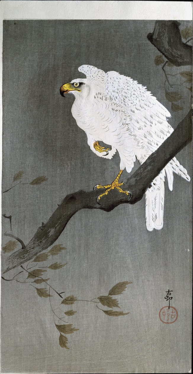 Halcón en una rama, 1907 de Ohara Koson