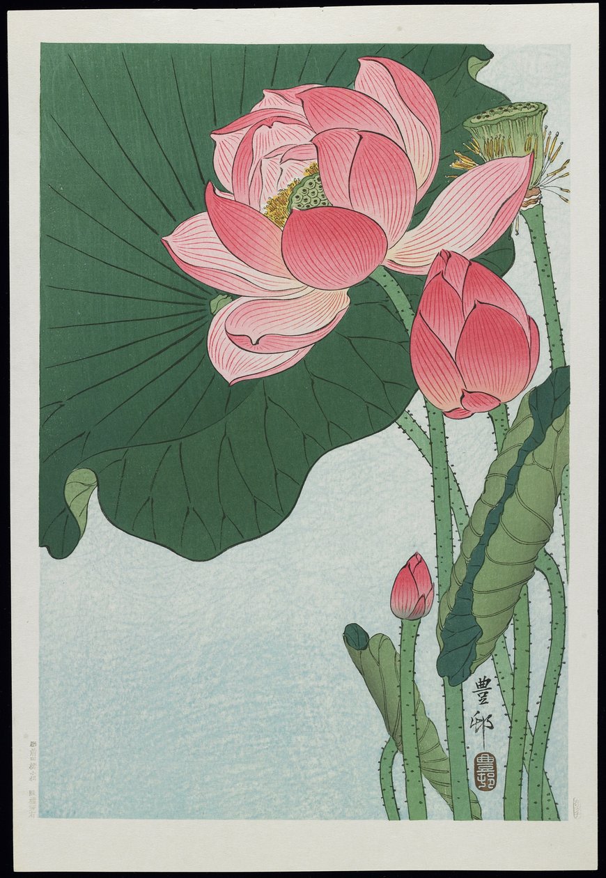 Loto, años 1930 de Ohara Koson