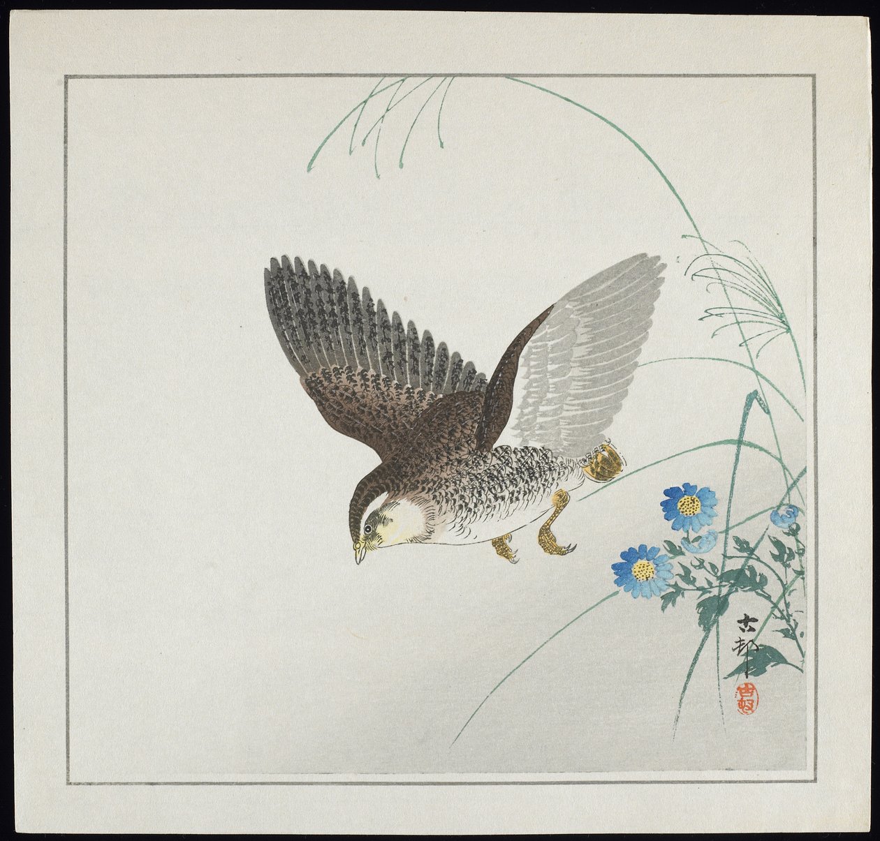 Codorniz en vuelo, antes de 1912 de Ohara Koson