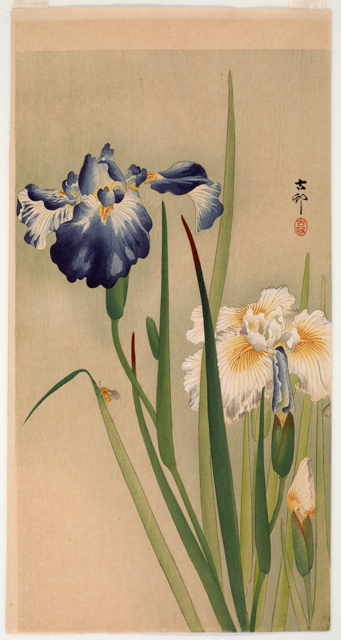 Pequeño insecto en lirios en flor de Ohara Koson