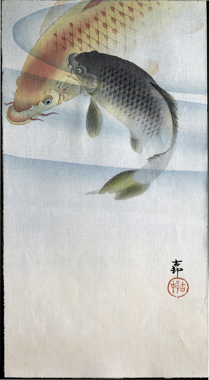 Dos carpas en un río, 1907 de Ohara Koson