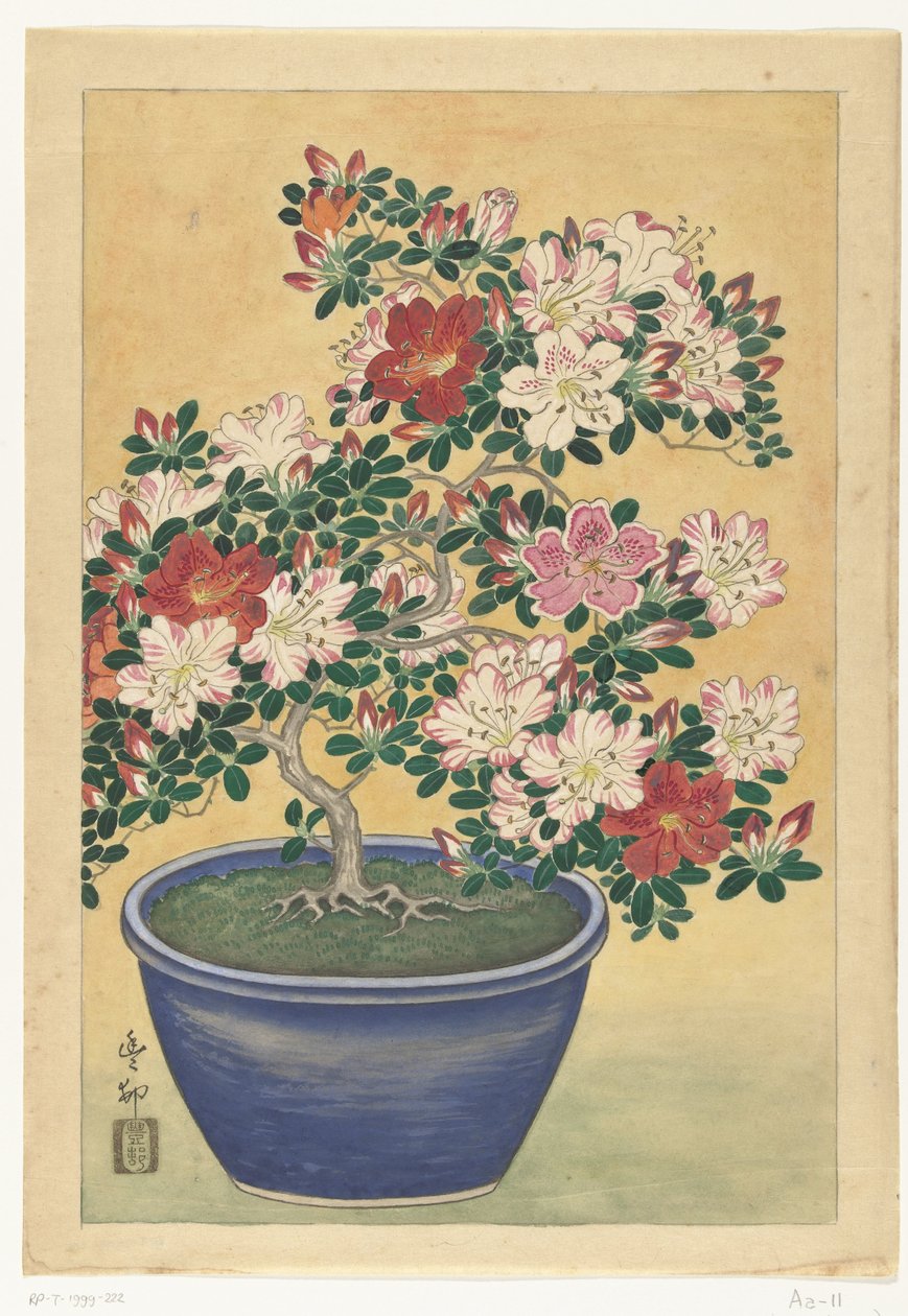 Azalea en flor en maceta azul de Ohara Koson (signed by artist)