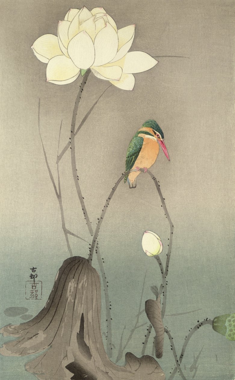 Un Martín Pescador y un loto de Ohara Koson