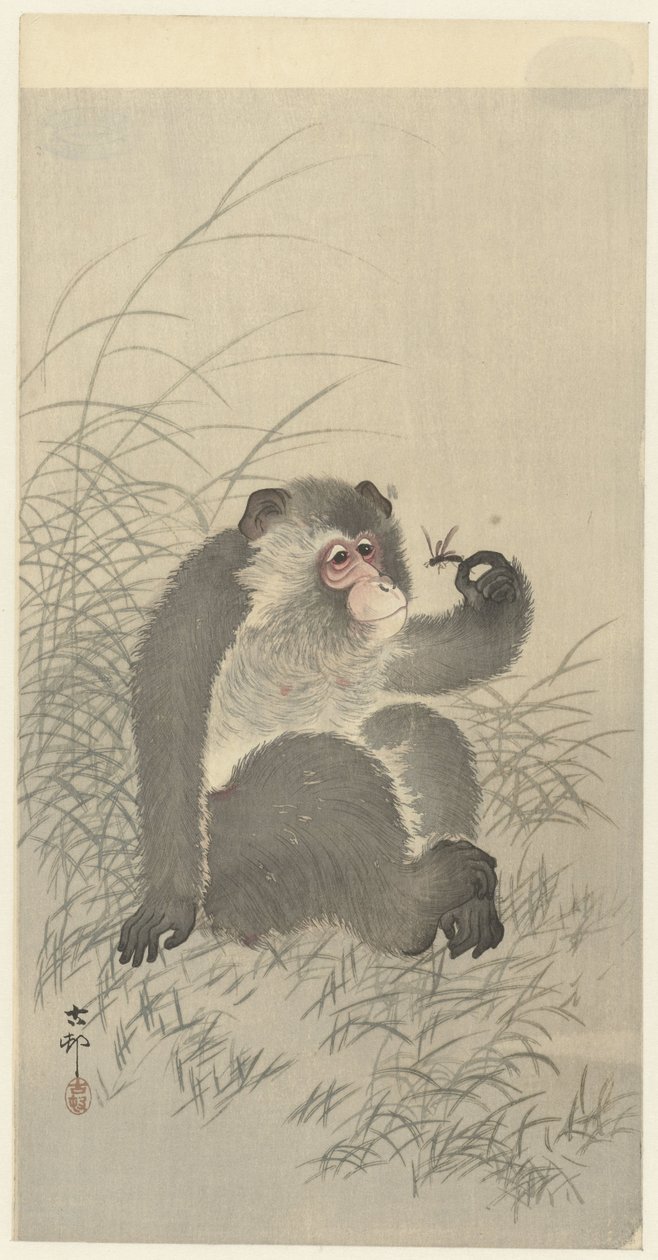 conociste a un insecto de Ohara Koson