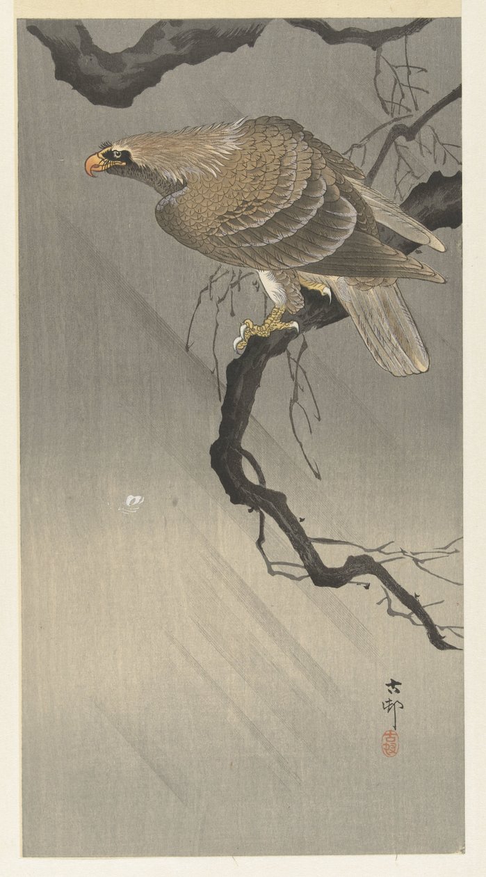 águila en rama de Ohara Koson