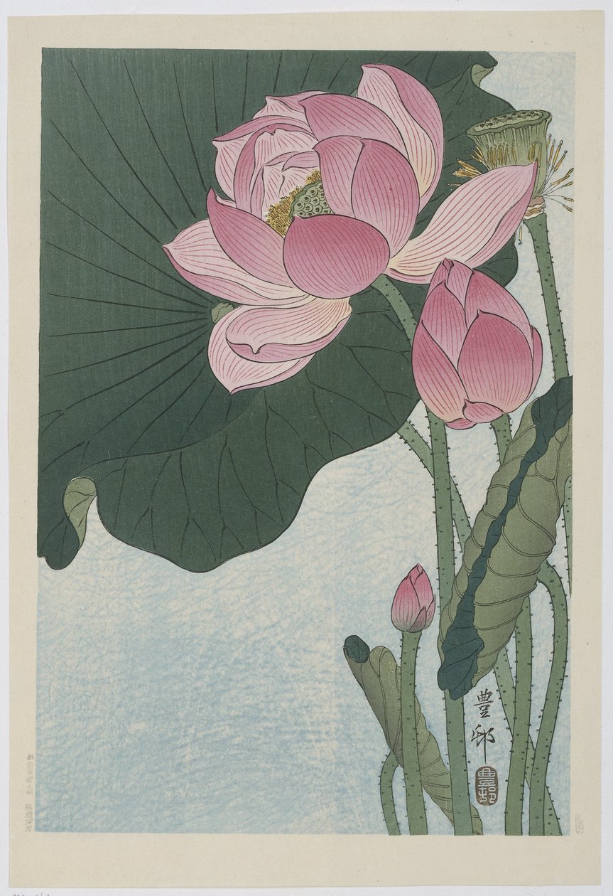 Flores de loto florecientes de Ohara Koson