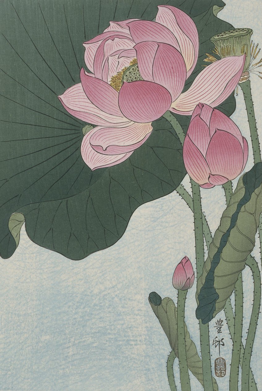 Flores de loto en flor de Ohara Koson