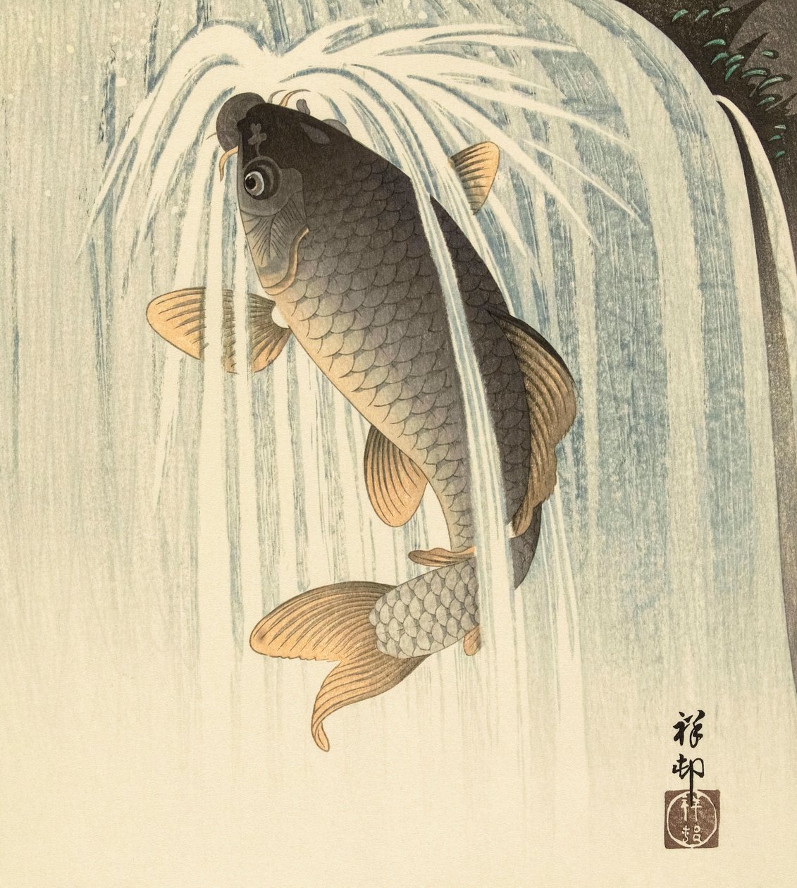 Carpa bajo una cascada, del artista japonés Ohara Koson de Ohara Koson