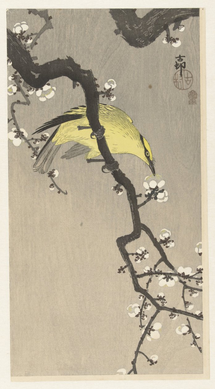 Oropéndola china en rama de flor de ciruelo de Ohara Koson
