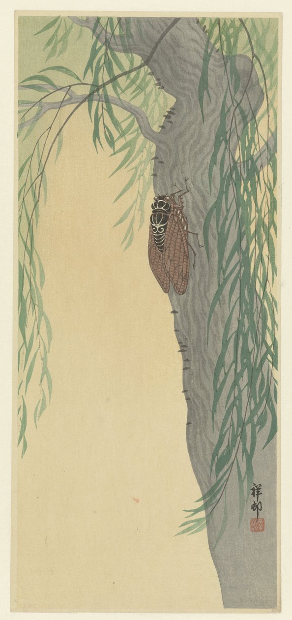 Cigarra en árbol de Ohara Koson