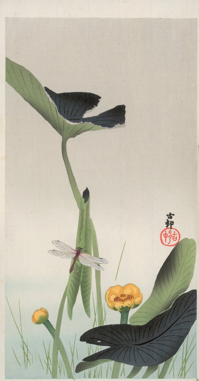 Libélula y Loto de Ohara Koson