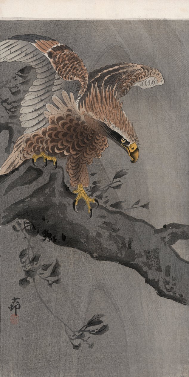 Águila con alas extendidas en tronco de árbol de Ohara Koson