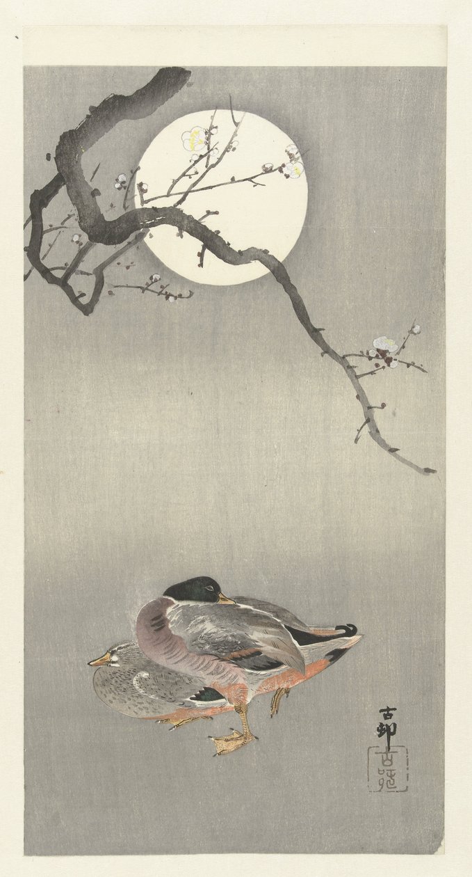 Patos en luna llena de Ohara Koson