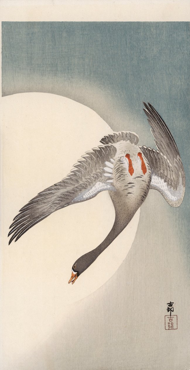 Ganso de frente blanca volando visto desde abajo frente a la luna de Ohara Koson